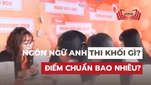 Ngành ngôn ngữ Anh thi khối gì? Điểm chuẩn bao nhiêu?
