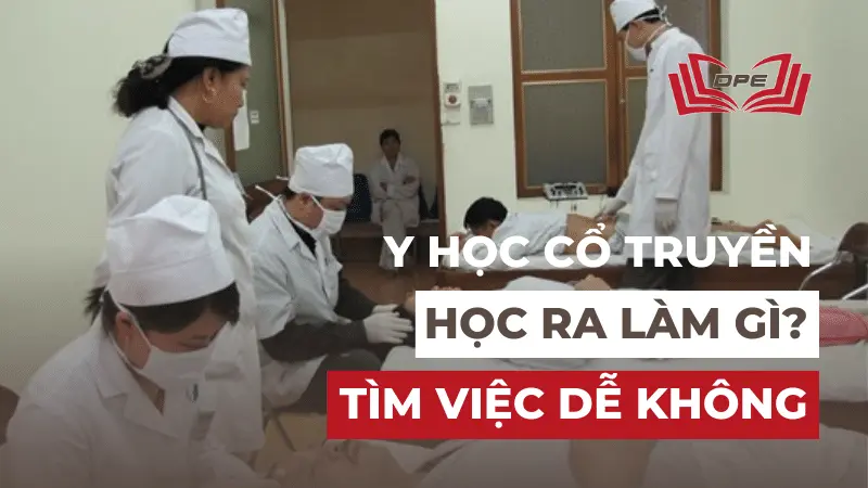 Y học cổ truyền học ra làm gì? Lương cao không?