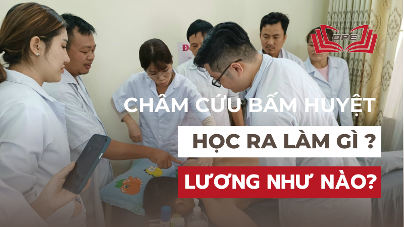 Học châm cứu bấm huyệt ra trường làm gì?gì