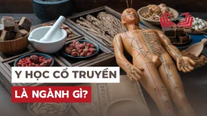 Y học cổ truyền là ngành học gì? Học khó không? Hết bao tiền?