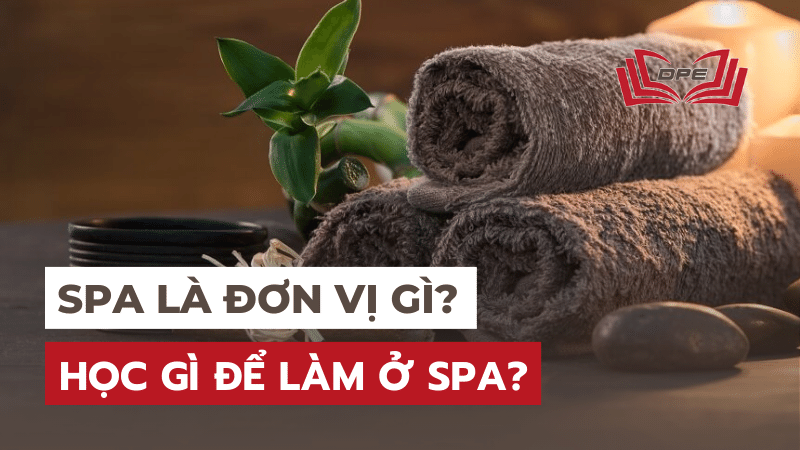 Spa là đơn vị gì? Học gì để làm ở Spa? Tìm việc như thế nào?