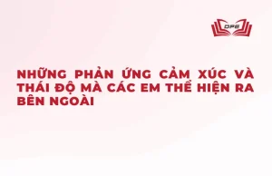 Biểu hiện tình cảm của học sinh tiểu học là những phản ứng cảm xúc ra bên ngoài với sự vật hiện tượng