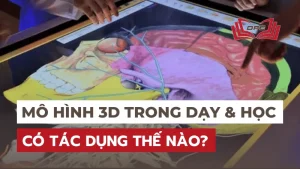 Mô hình 3D là gì? Có tác dụng ra sao trong học tập và giảng dạy?