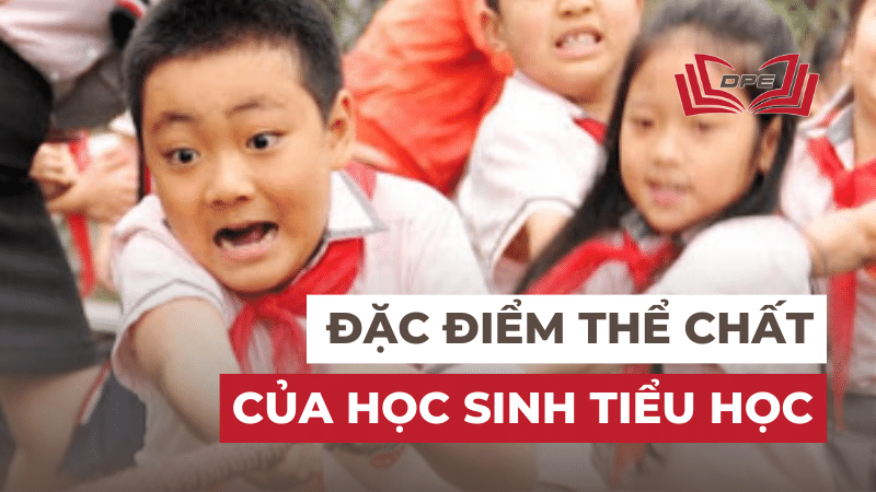 Đặc điểm phát triển thể chất của học sinh Tiểu học