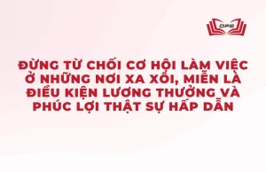 Một lời khuyên hữu ích cho bạn là hãy mở rộng tầm nhìn và đừng từ chối cơ hội làm việc ở những nơi xa xôi, miễn là điều kiện lương thưởng và phúc lợi thật sự hấp dẫn.