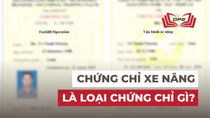 Chứng chỉ xe nâng là chứng chỉ gì? Học ở đâu uy tín TPHCM?