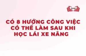 Có 08 hướng công việc có thể làm sau khi học lái xe nâng