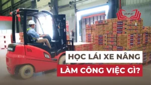 Học lái xe nâng ra làm công việc gì? Lương cao không?
