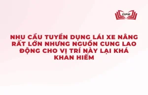 Nghề lái xe nâng luôn khan hiếm lao động có kỹ năng dù nhu cầu tuyển dụng rất lớn