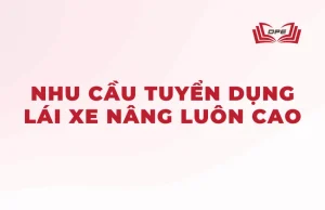 Nhu cầu tuyển dụng lái xe nâng luôn rất cao