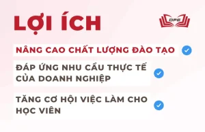 Việc phân loại xe nâng đem lại cho học viên nhiều lợi ích khi học lái xe nâng
