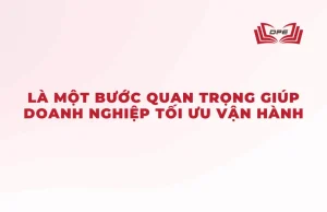 Phân loại xe nâng là một bước quan trọng để giúp doanh nghiệp tối ưu vận hành