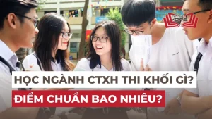 Ngành Công tác xã hội thi khối gì? Điểm chuẩn bao nhiêu năm 2024?