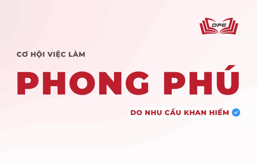 Bạn có thể làm nhiều vị trí công việc khác nhau
