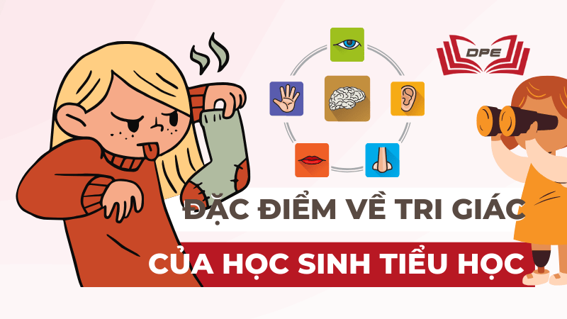 Đặc điểm về Tri giác của Học sinh Tiểu học