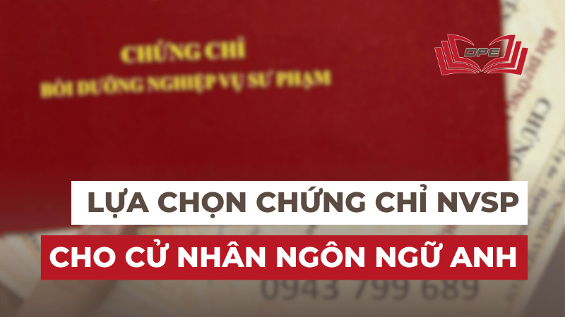 Lựa chọn chứng chỉ Nghiệp vụ sư phạm Tiếng Anh phù hợp cho cử nhân Ngôn ngữ Anh