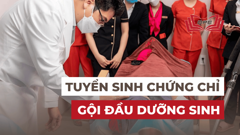Tuyển sinh lớp học chứng chỉ Gội đầu dưỡng sinh tại TPHCM (Bao nghề)
