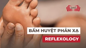 Bấm huyệt phản xạ, hay phản xạ trị liệu Reflexology