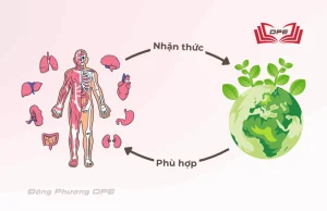 "Nam Dược Nam Nhân" là một nhận thức sâu sắc về mối quan hệ mật thiết giữa con người và môi trường sống