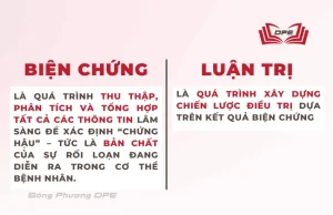 Phân biệt bản chất của "Biện chứng" và "Luận trị"