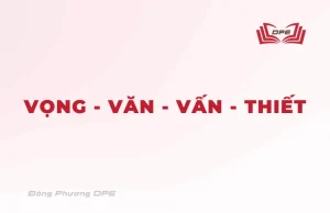 Hệ thống tứ chẩn: Vọng - Văn - Vấn - Thiết