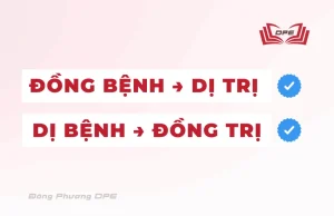 Nguyên tắc điều trị được đề cập trong Thương hàn Tạp bệnh luận