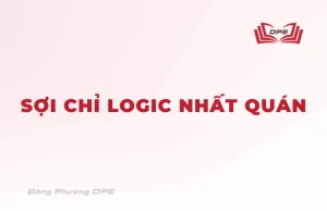 Sợi chỉ logic nhất quán bởi thực nghiệm