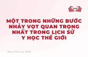 Thương hàn Tạp bệnh luận là một đại diện trong những bước nhảy vọt quan trọng nhất của lịch sử y học thế giới