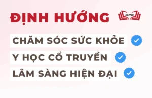 03 Định hướng nghề nghiệp chính khi theo đuổi ngành "trị liệu"