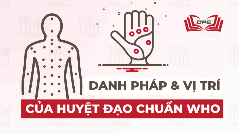 Danh pháp và Vị trí Huyệt đạo chuẩn WHO