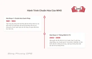 Hành trình chuẩn hóa danh pháp của WHO