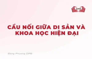 Hệ thống danh pháp và vị trí huyệt đạo của WHO là cầu nối giữa di sản và khoa học hiện đại