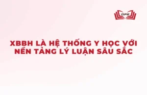 Xoa bóp bấm huyệt là một hệ thống y tế có lý luận chính xác